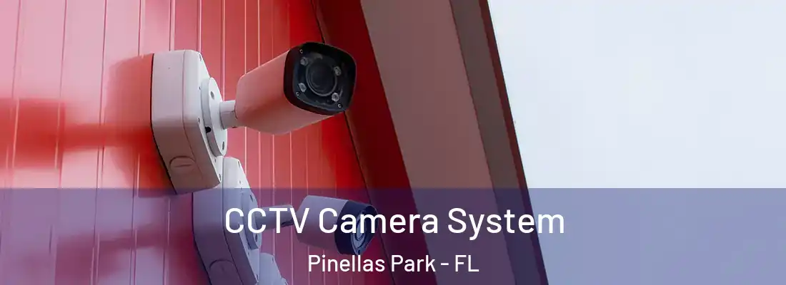 CCTV Camera System Pinellas Park - FL