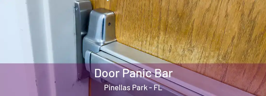 Door Panic Bar Pinellas Park - FL
