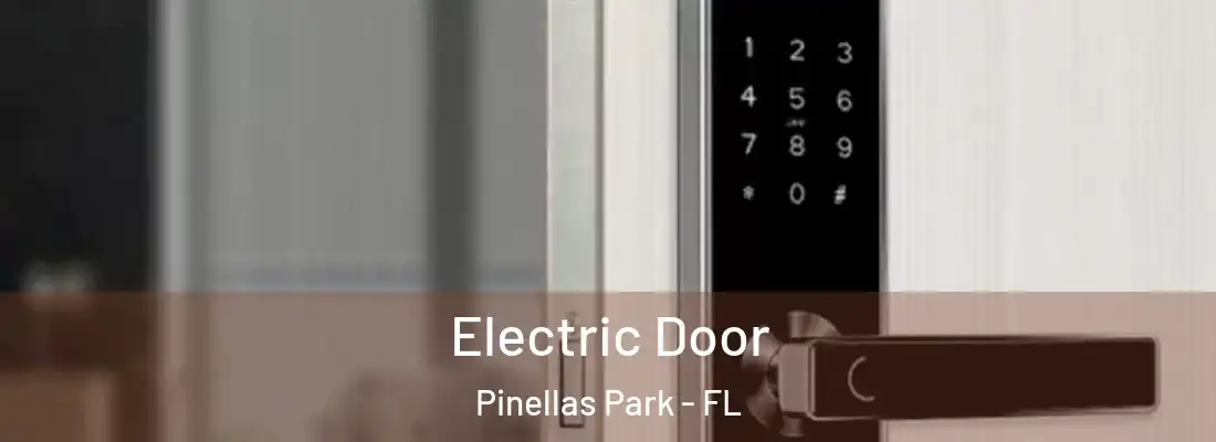 Electric Door Pinellas Park - FL