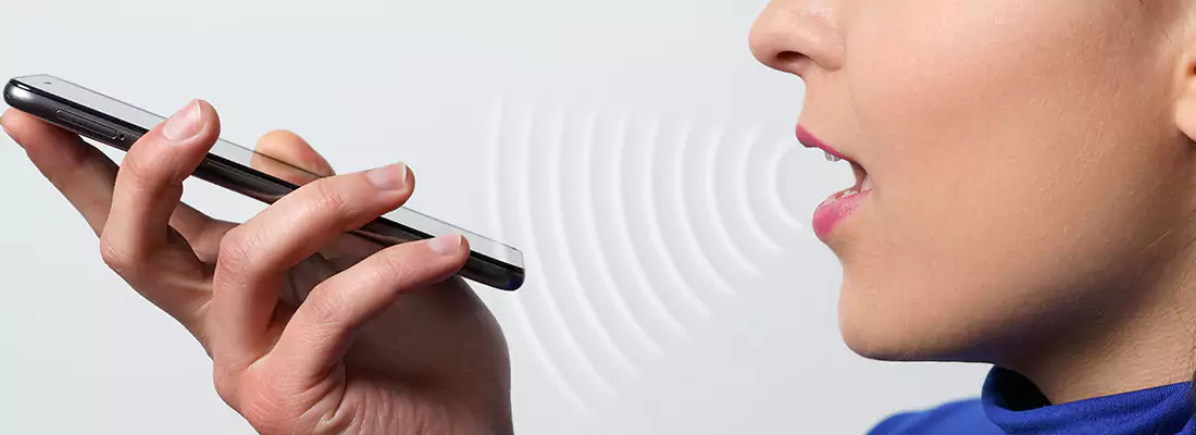 Residential and Commercial Voice Recognition Access Solutions in Pinellas Park, FL