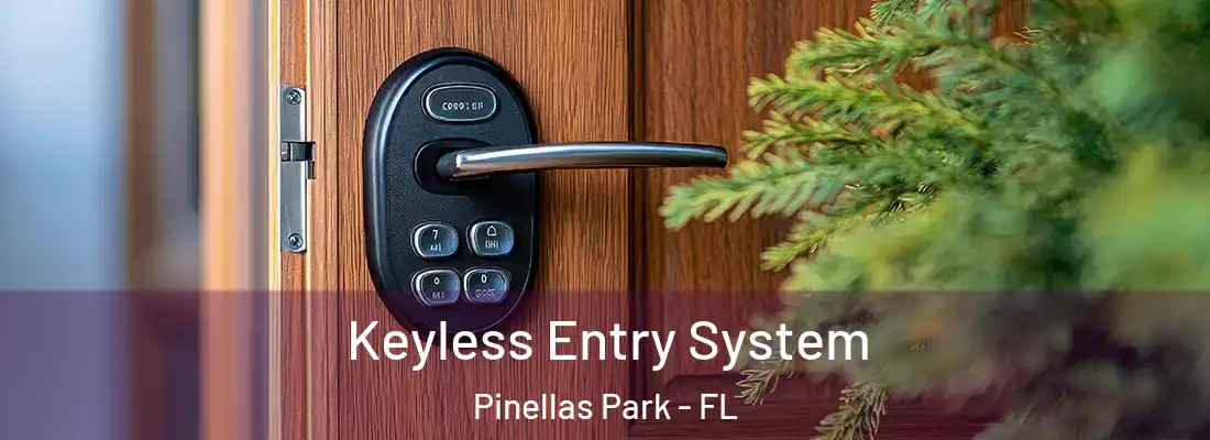Keyless Entry System Pinellas Park - FL