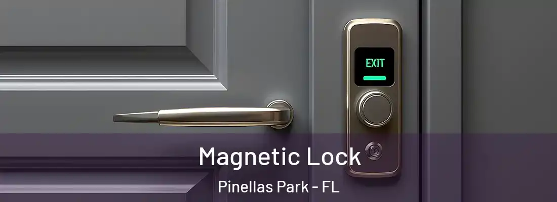 Magnetic Lock Pinellas Park - FL