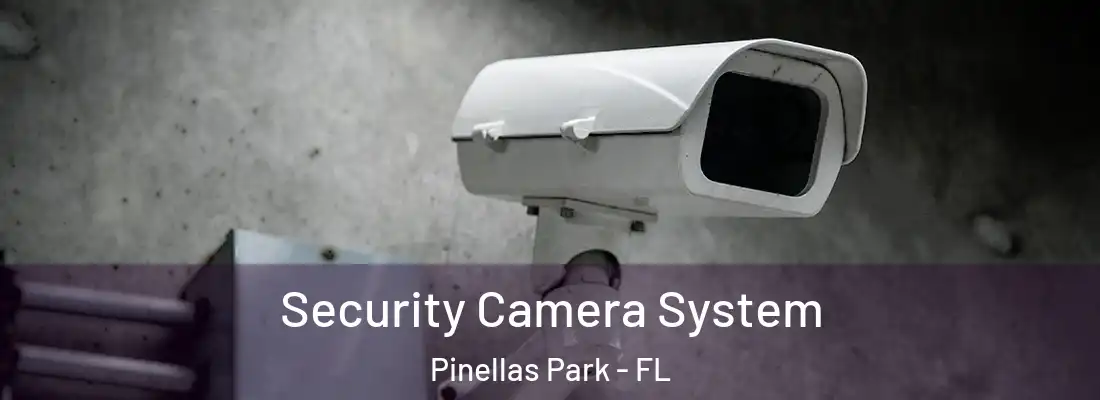 Security Camera System Pinellas Park - FL