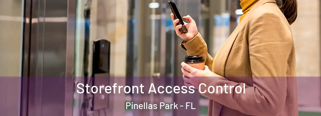 Storefront Access Control Pinellas Park - FL
